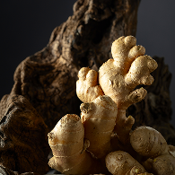 <p><span style="font-size: 24px;">Ginger</p>생강