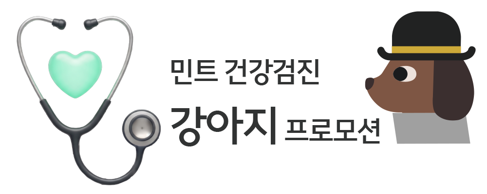 민트 건강검진 강아지 프로모션