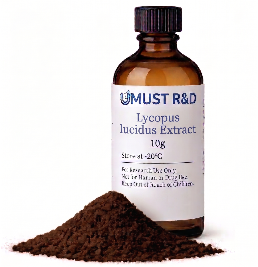 택란 추출물 파우더 Lycopus lucidus Extract 제품 이미지