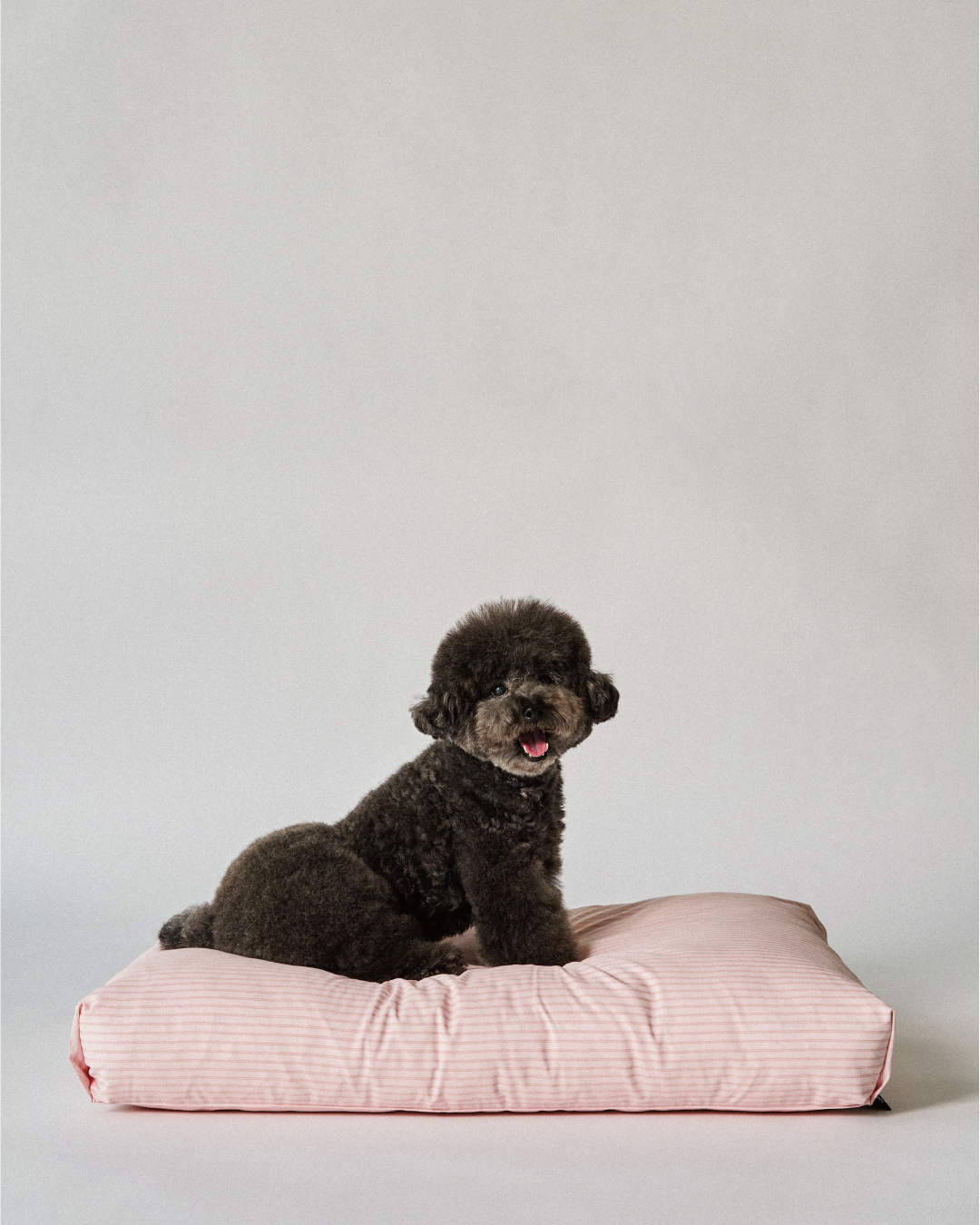 Quiet comfort for everyday