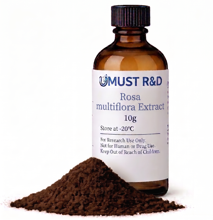 영실자 추출물 파우더 Rosa multiflora Extract 제품 이미지