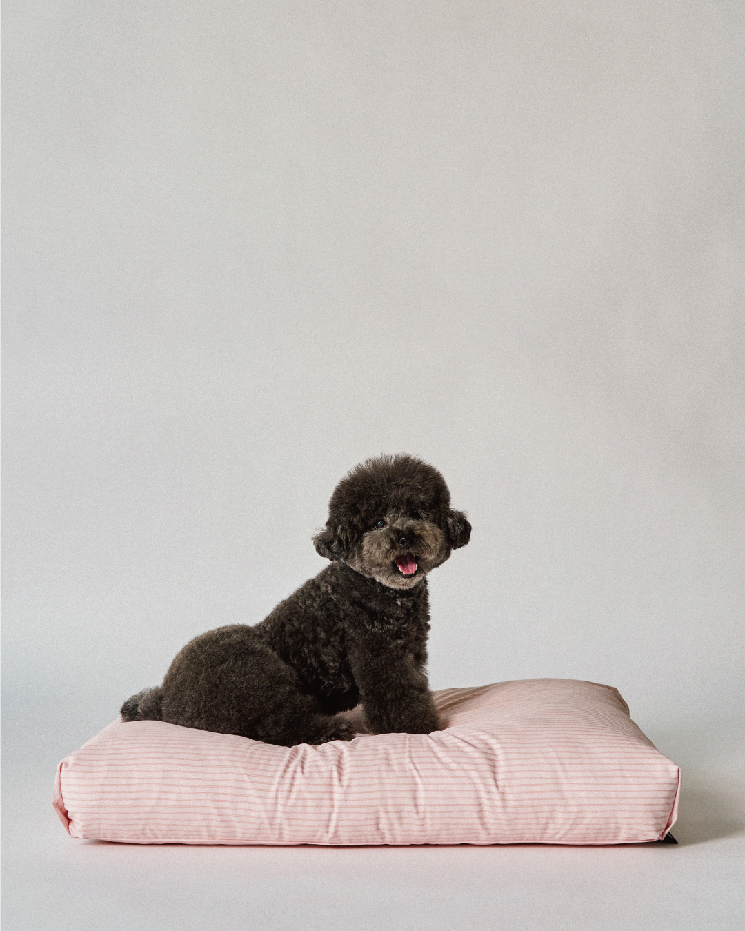 Quiet comfort for everyday