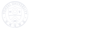 연세 신효선 성형외과