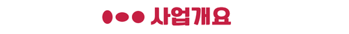 옥천 금호어울림 사업개요