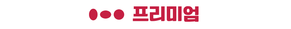 안성 금호어울림 프리미엄