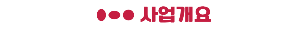 안성 금호어울림 사업개요