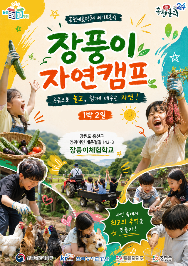 홍천배시시축제