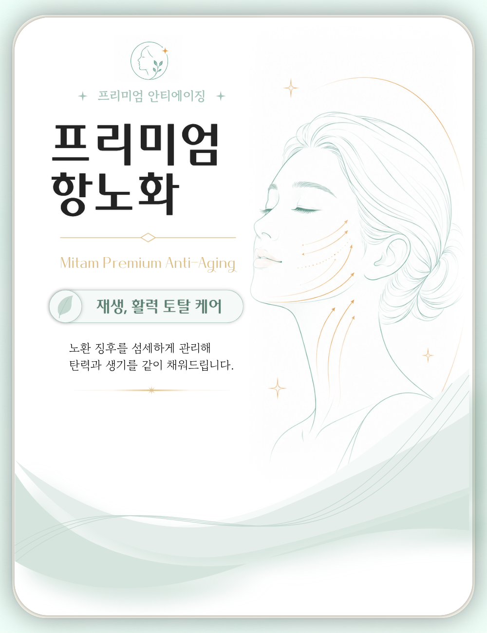 프리미엄 항노화 대표 이미지