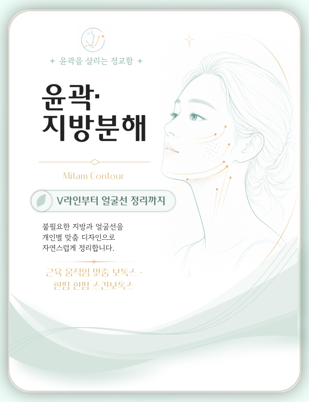 윤곽 · 지방분해 대표 이미지