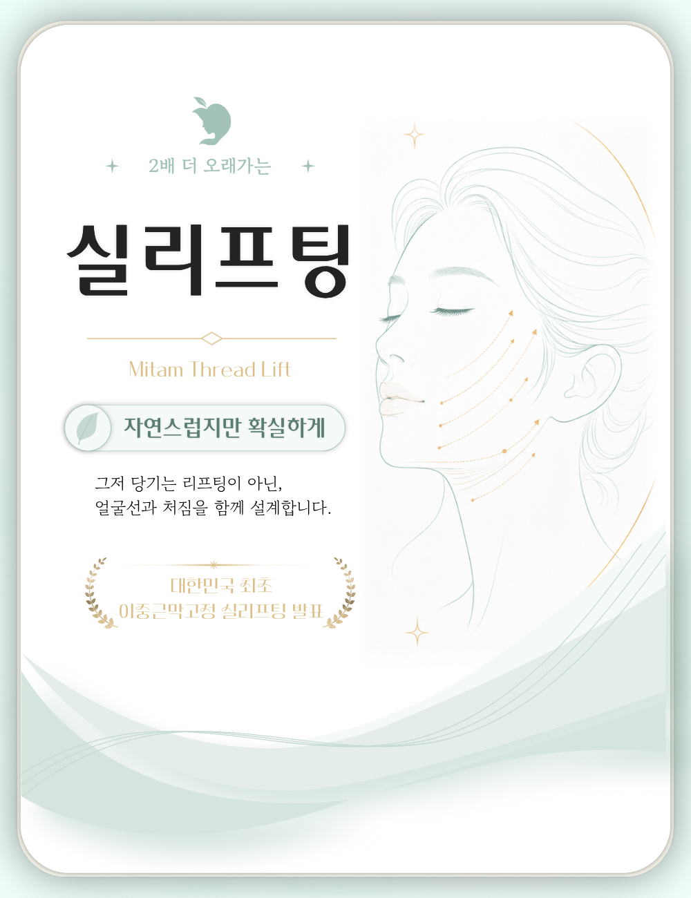 미탐 실리프팅 대표 이미지