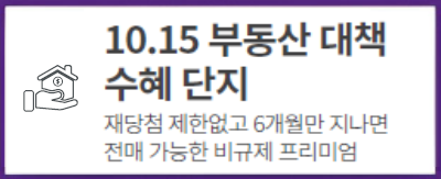 프리미엄1 - 10.15 부동산 대책 수헤단지