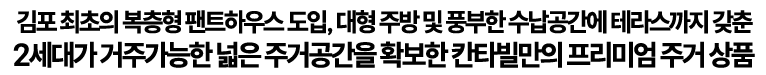 김포 최초의 복층형 팬트하우스 도입