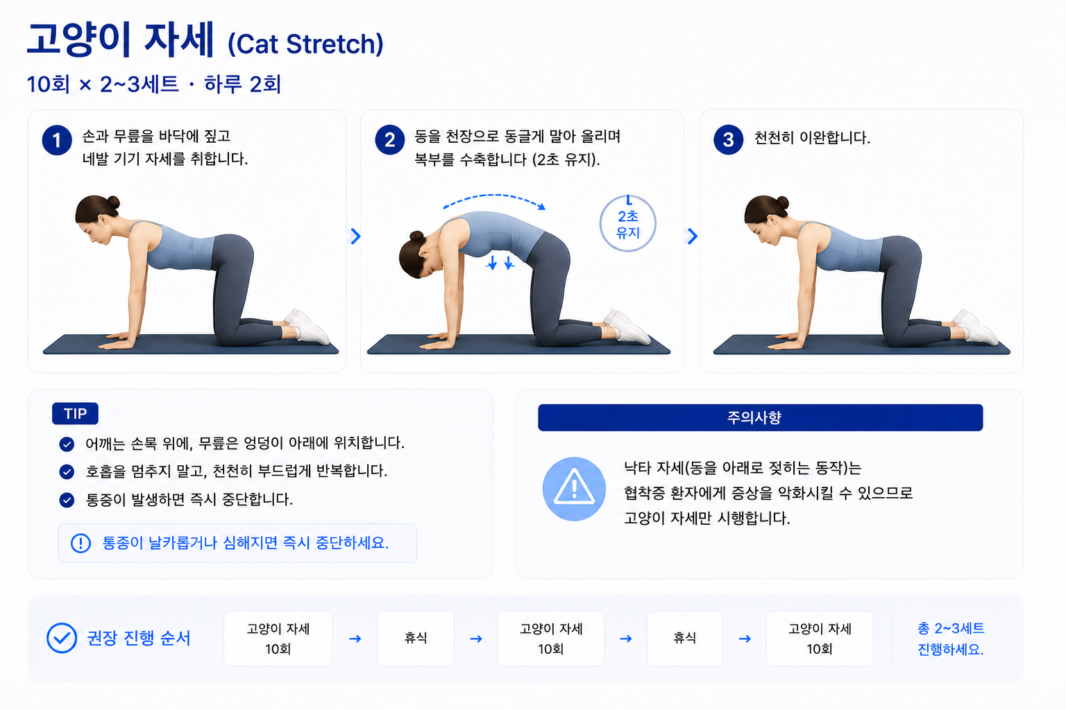 고양이 자세 (Cat Stretch)