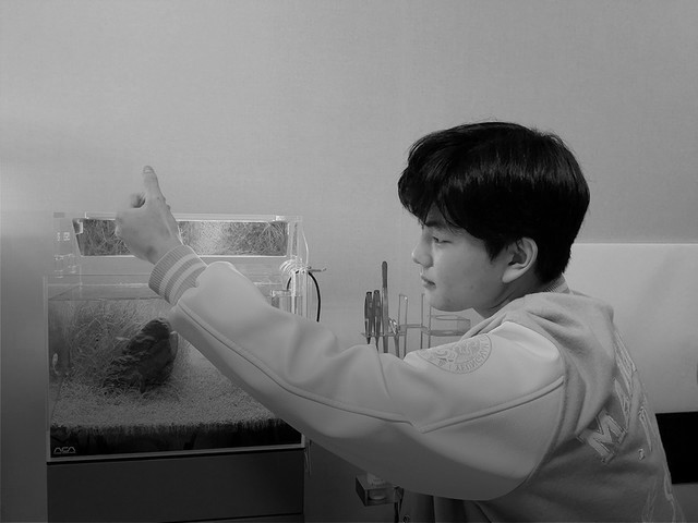 <p style="  margin-bottom:-10px;">공의진</p><h5 style="line-height: 0.8; margin-bottom:0px;"><strong>Gong EuiJin</strong></h5>