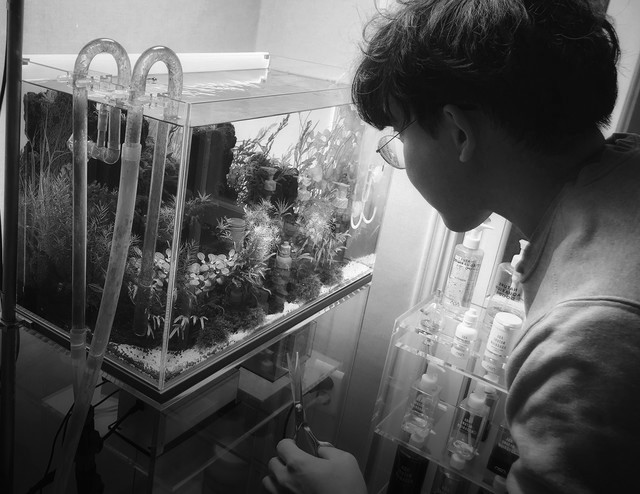 <p style="  margin-bottom:-10px;">박준식</p><h5 style="line-height: 0.8; margin-bottom:0px;"><strong> Park JunSik</strong></h5>