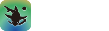 더블랙샤크ㅣ인스타그램 마케팅ㅣ뷰티마케팅 전문 | 인스타샤크