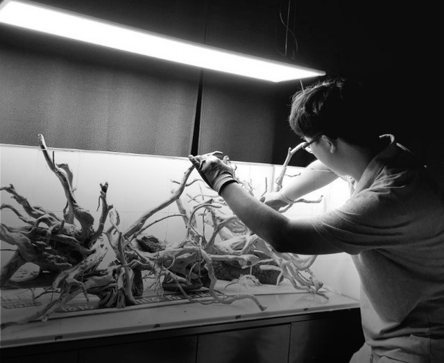 <p style="  margin-bottom:-10px;">이해원</p><h5 style="line-height: 0.8; margin-bottom:0px;"><strong> Lee HaeWon</strong></h5>