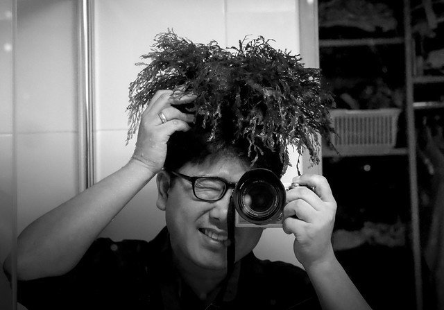 <p style="  margin-bottom:-10px;">김민형</p><h5 style="line-height: 0.8; margin-bottom:0px;"><strong> Kim MinHyung</strong></h5>