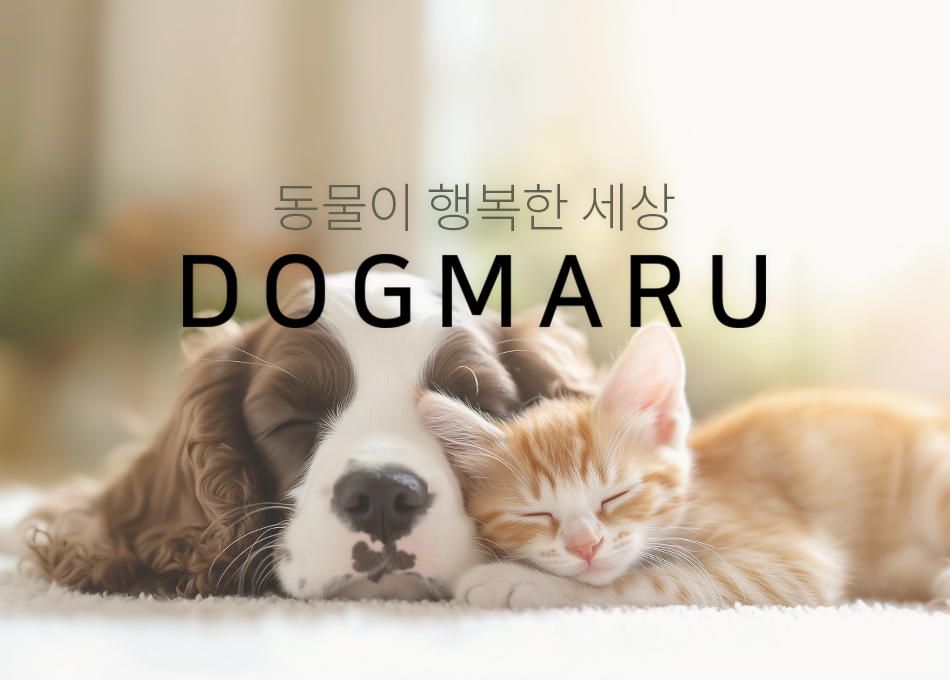 동물이 행복한 세상 DOGMARU