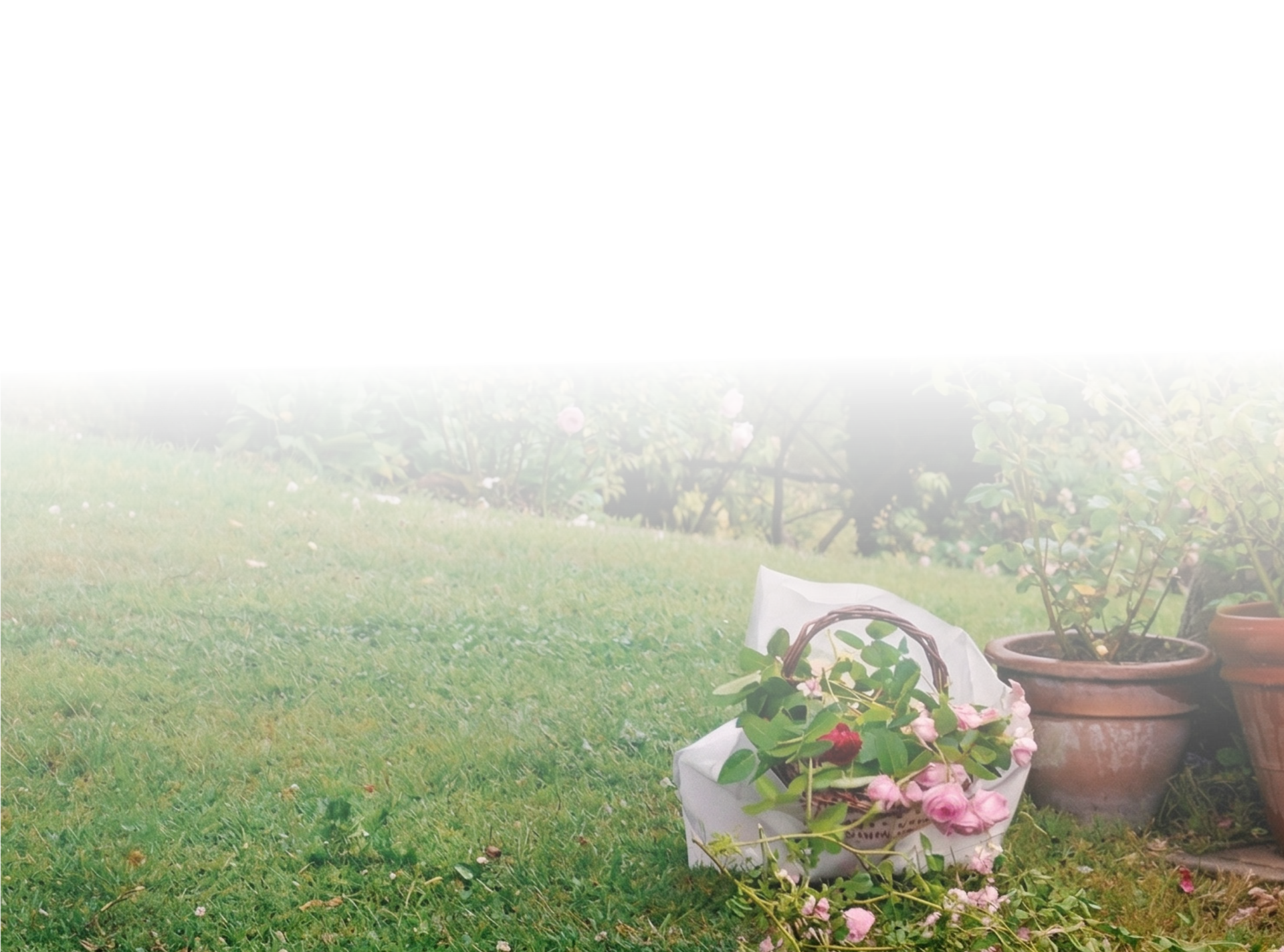 mobile background