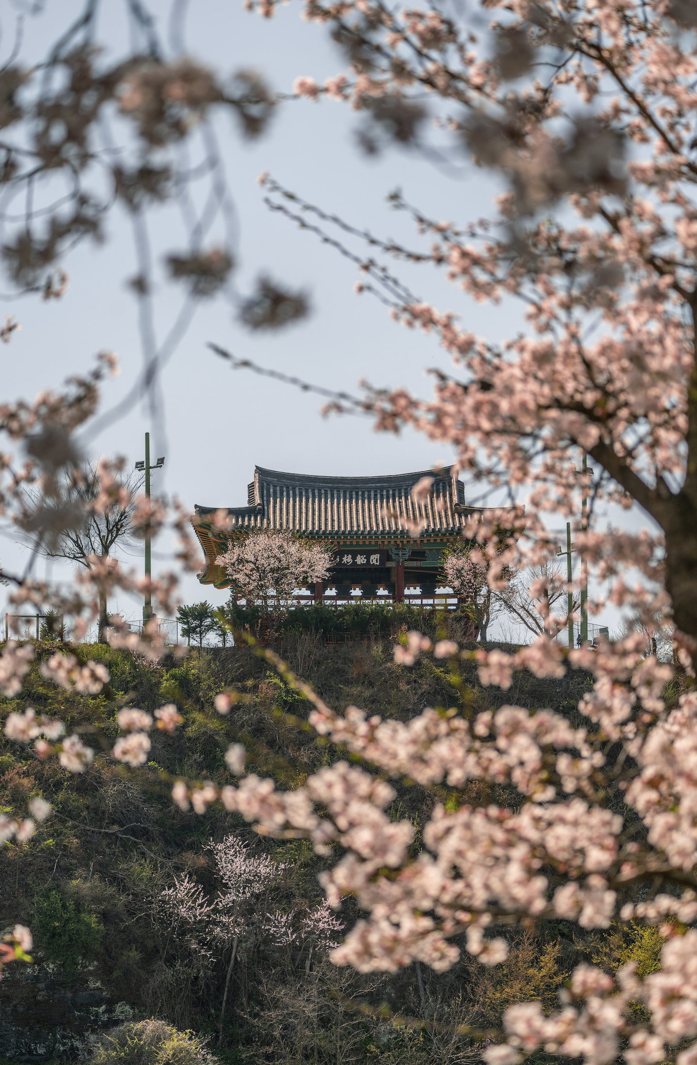 의성읍 구봉공원