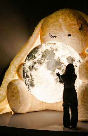 <b>MOON RABBIT dara</b>