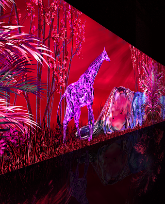<b>JUNGLE</b> GLOW dara