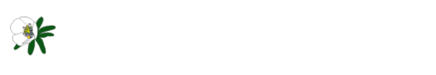 스테이변산바람꽃