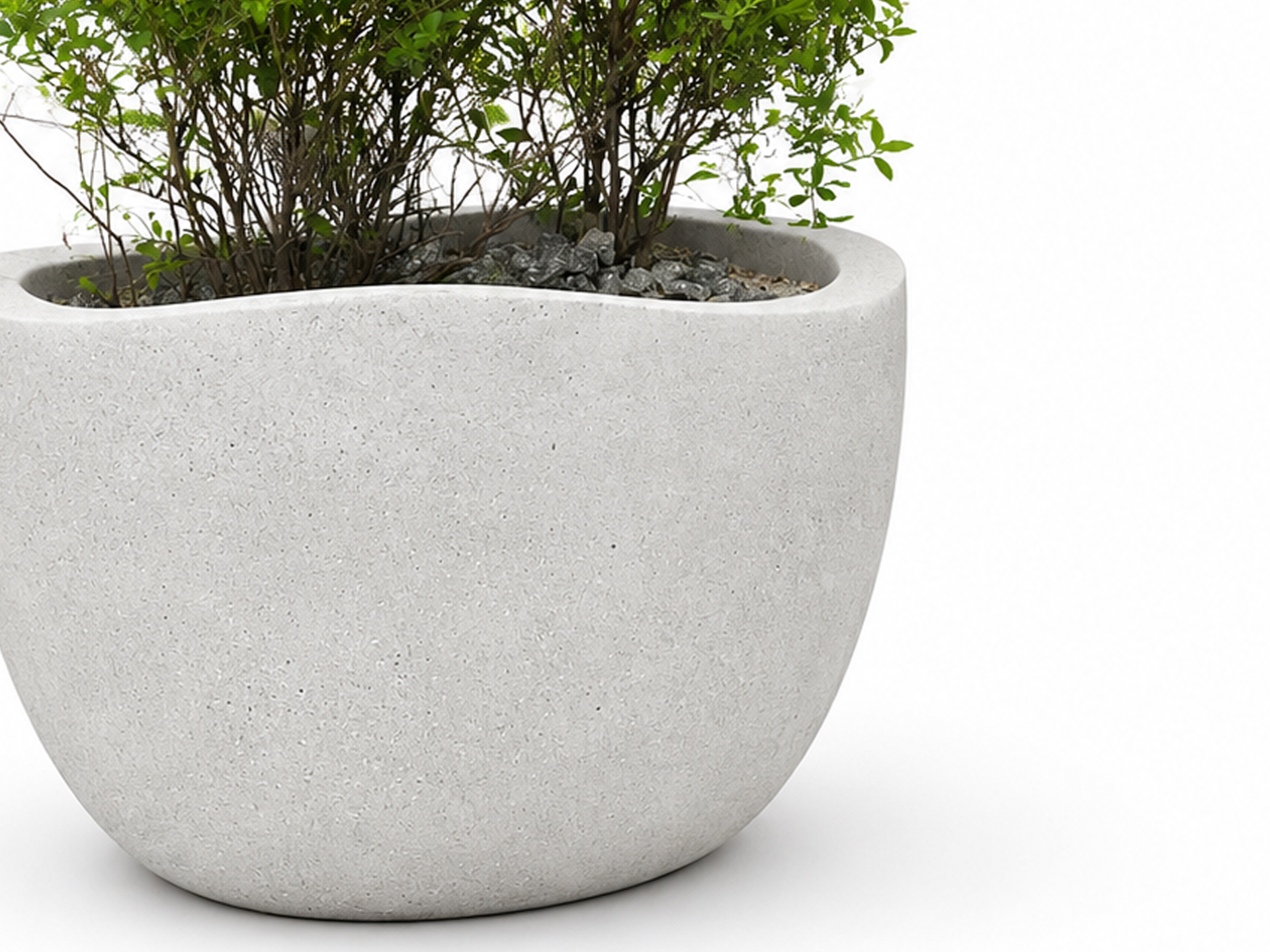 PLANTER