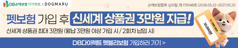DB다이렉트 펫블리보험 펫보험 가입 후 신세계 상품권 3만원 지급