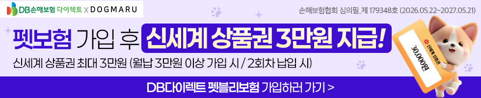 펫보험 가입 후 신세계 상품권 3만원 지급