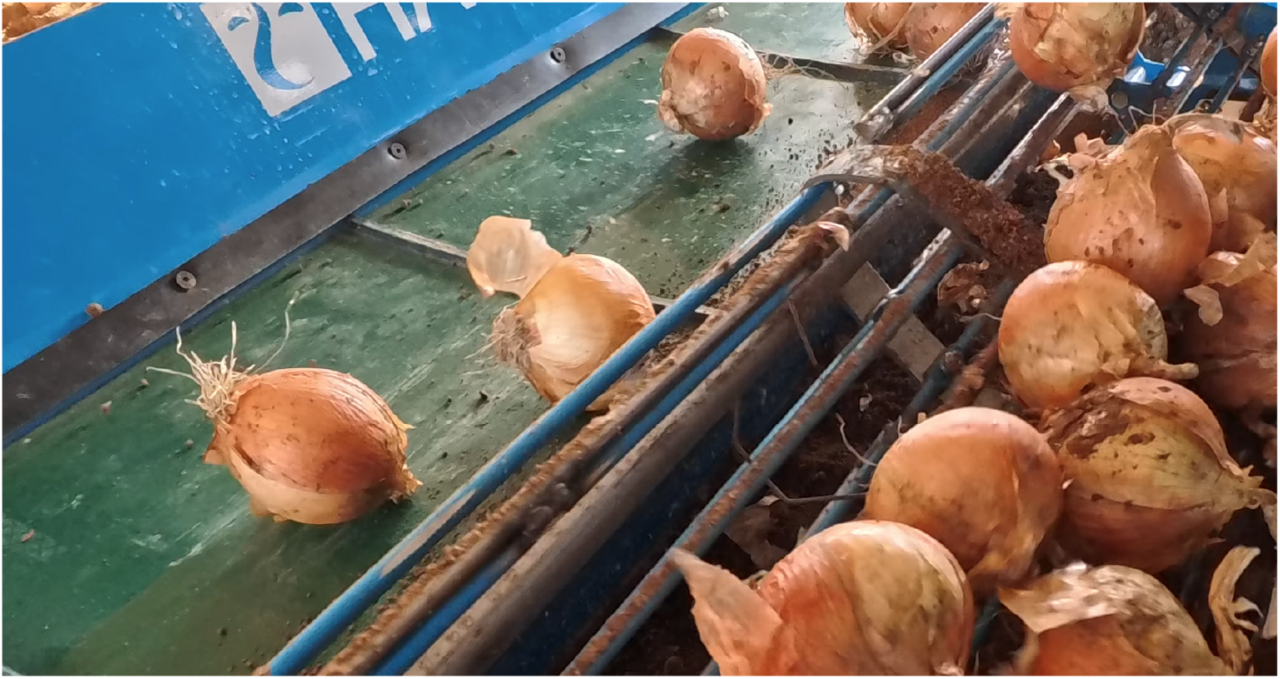 흙 털림이 탁월한 이송 구조
