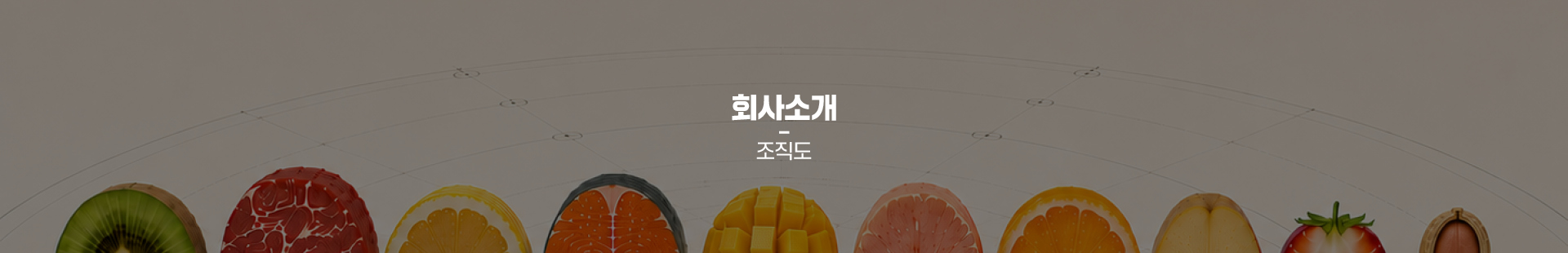 조직도