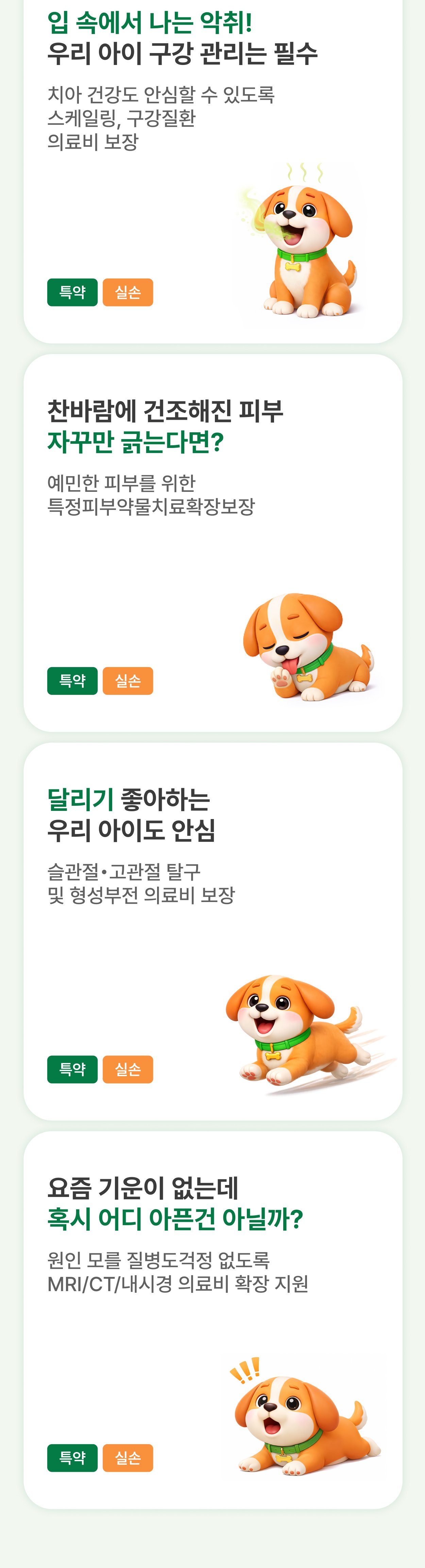DB 손해보험 펫블리 보험 가입 시 3만원 신세계 상품권 지급