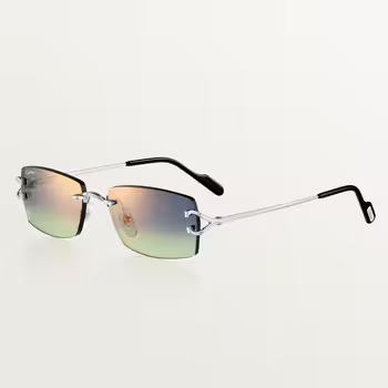 Classic C Motif Sunglasses