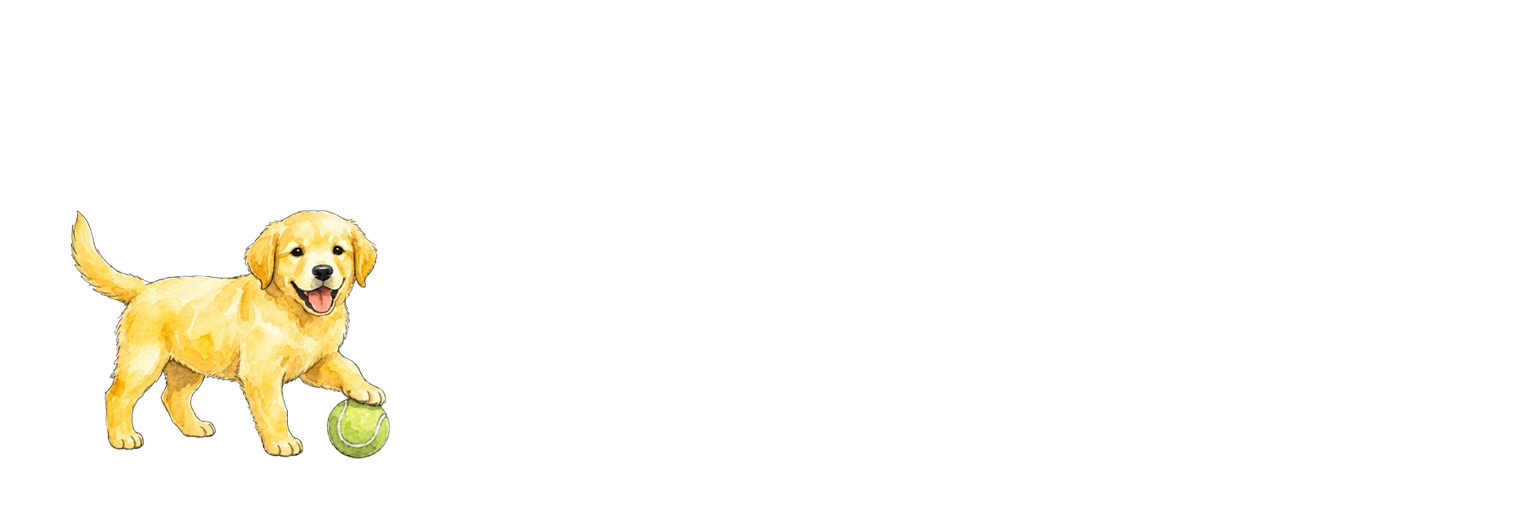 장면 1