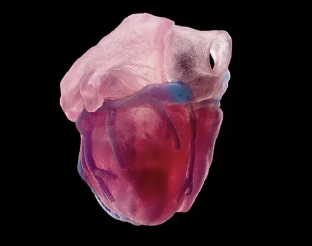 TissueMatrix