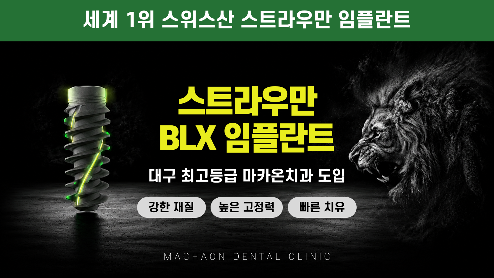 스트라우만 BLX 도입
