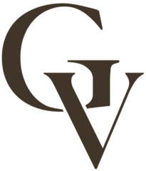 GV PLASTIC SURGERY