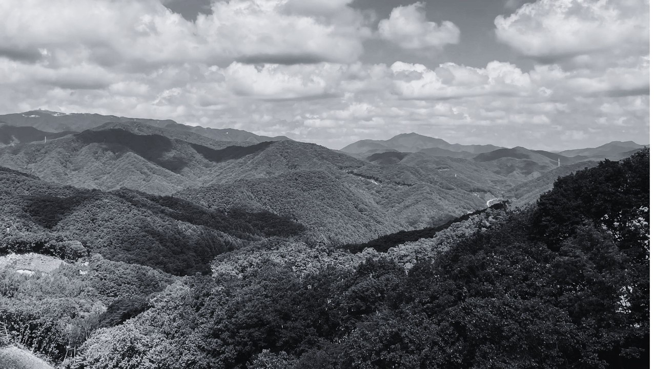 산림