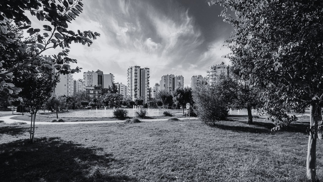 도시숲