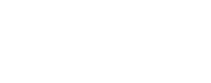 스노우폭스북스