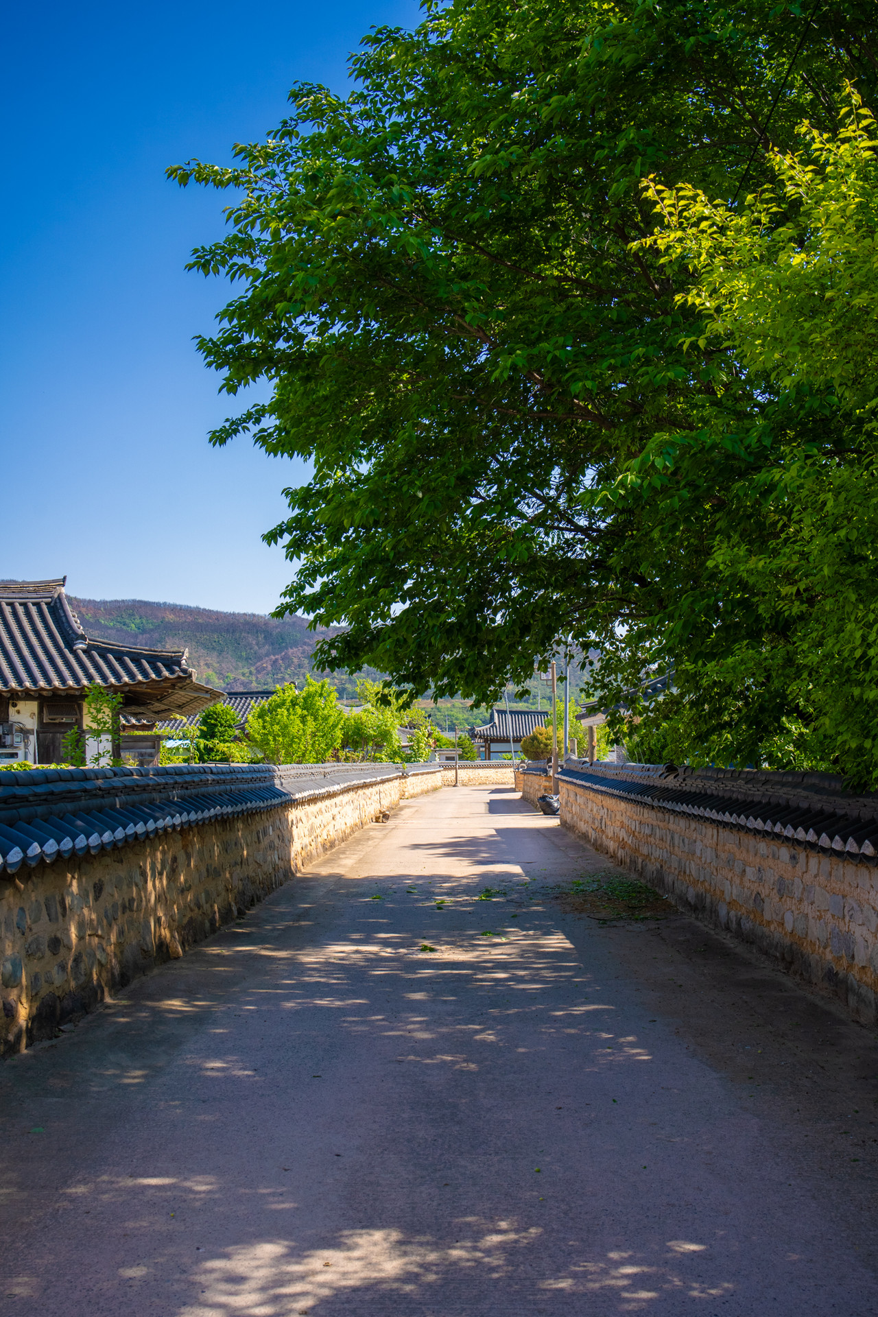 사촌마을