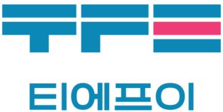 (주)티에프이