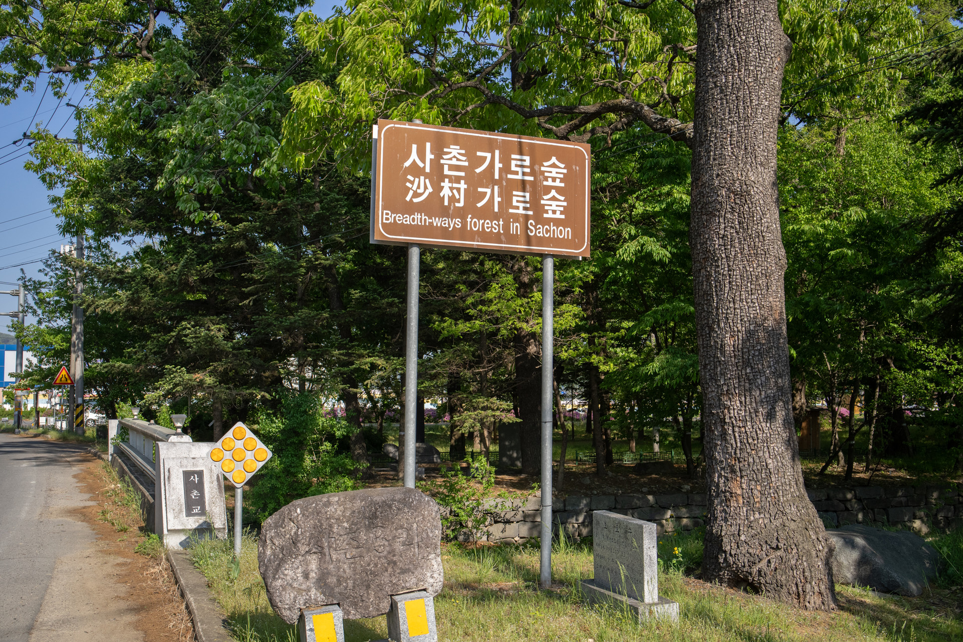 사촌가로숲 입구