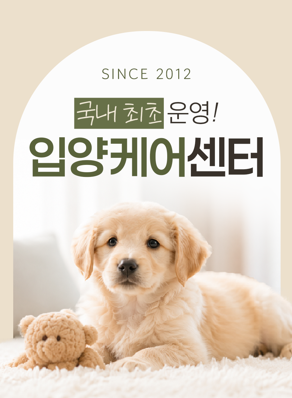 국내 최초 운영, 입양케어센터