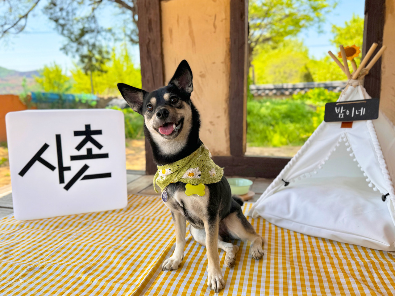 시고르댕캉스