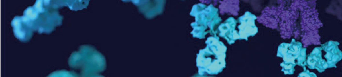 [Bio X Cell] InVivoSIM™ - 승인된 치료제를 기반으로한 연구용 Biosimilar 항체 : Bio X Cell ...