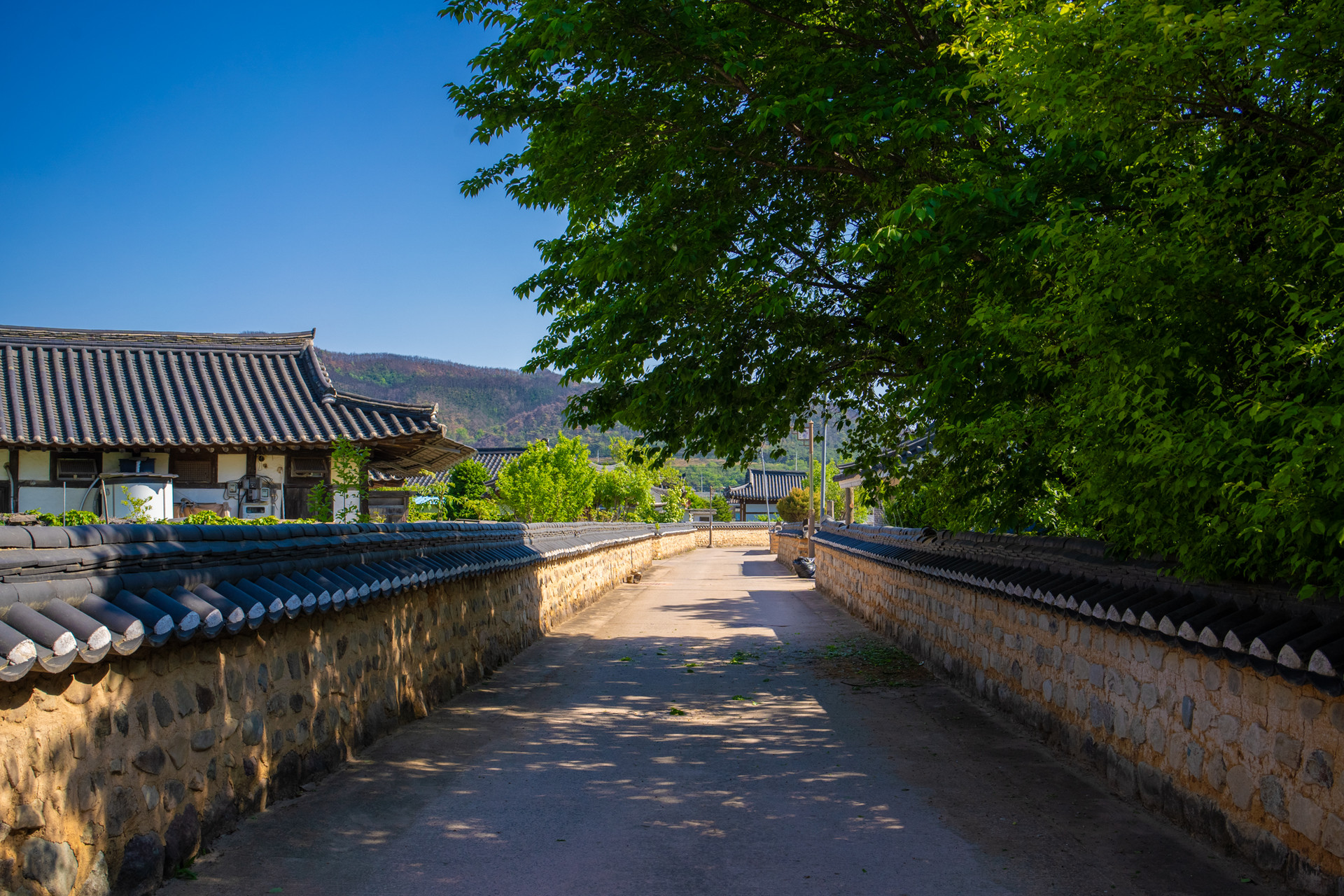 사촌마을