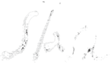 본사직영 디오샵 - 블루투스 DAC